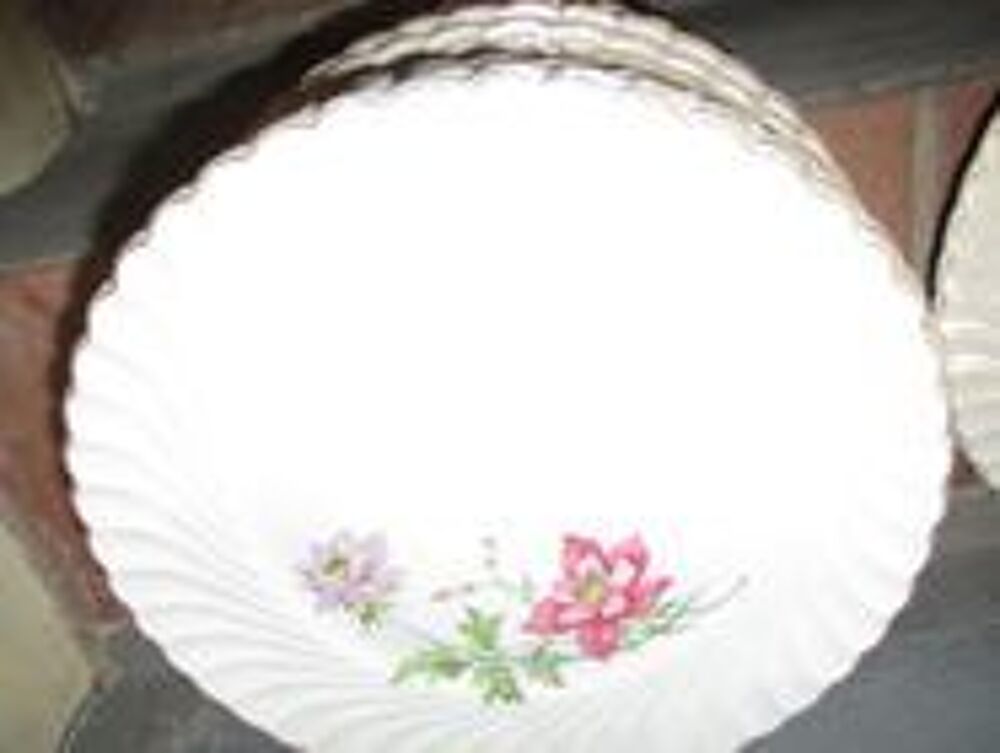 16 grandes assiettes et 5 assiettes &agrave; dessert vintage Cuisine
