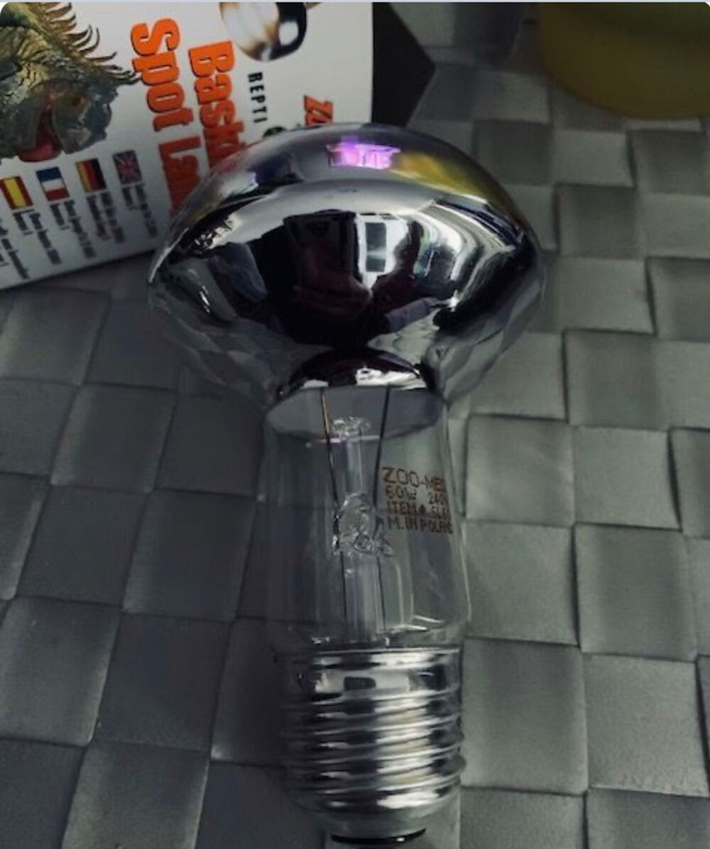 Ampoule terrarium Bricolage