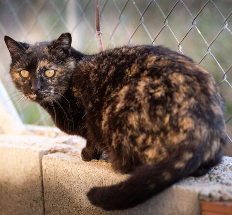 SUNI 220 27620 Gasny