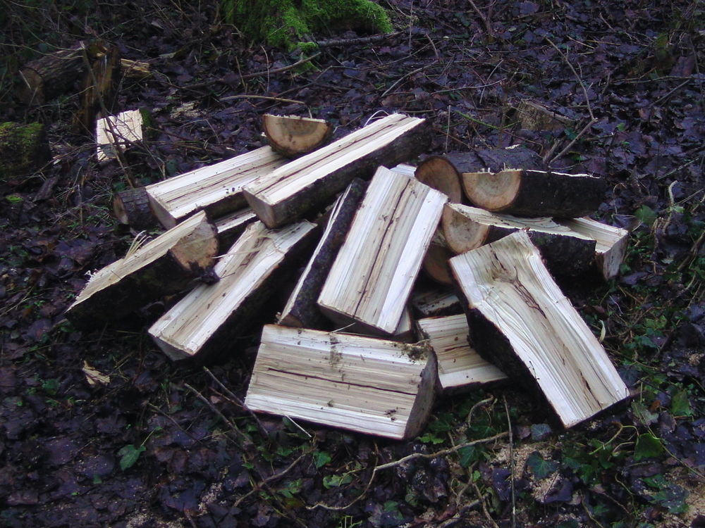 bois de chauffage sec &eacute;ssance grisar Jardin