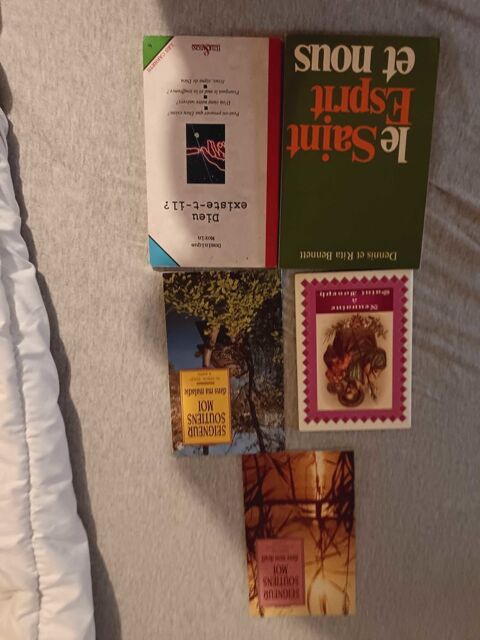 livre 1 Arras (62)