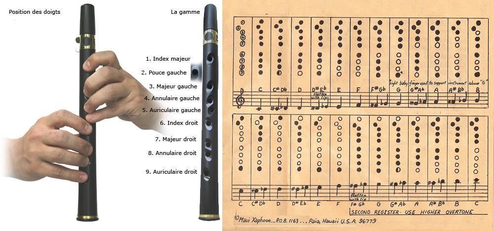 Saxphoon 
Saxphoon alto en bambou
Instruments de musique