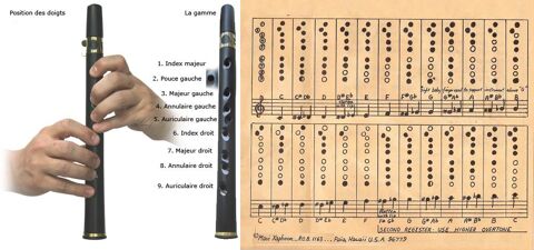 Saxphoon 
Saxphoon alto en bambou
25 Rennes (35)