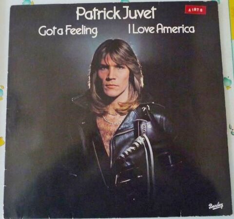 Vinyl Patrick JUVET 5 Lille (59)