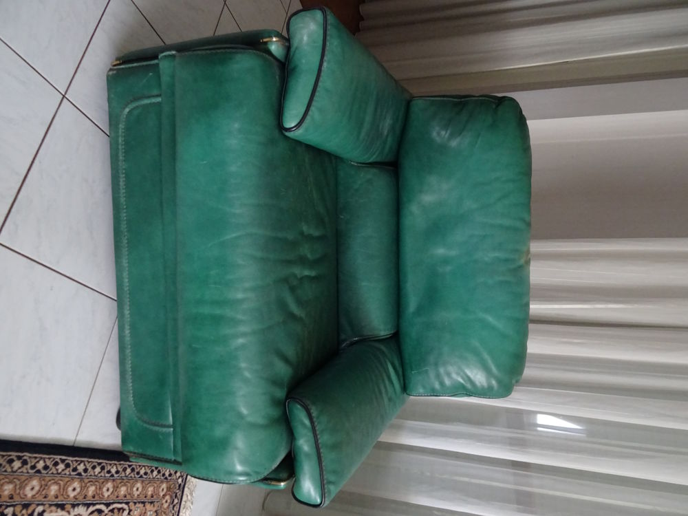 2 Fauteuils Cuir Meubles