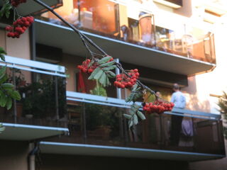 Location  Appartement 