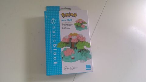 nanoblock Pokémon
Saint-Laurent-du-Var (06)