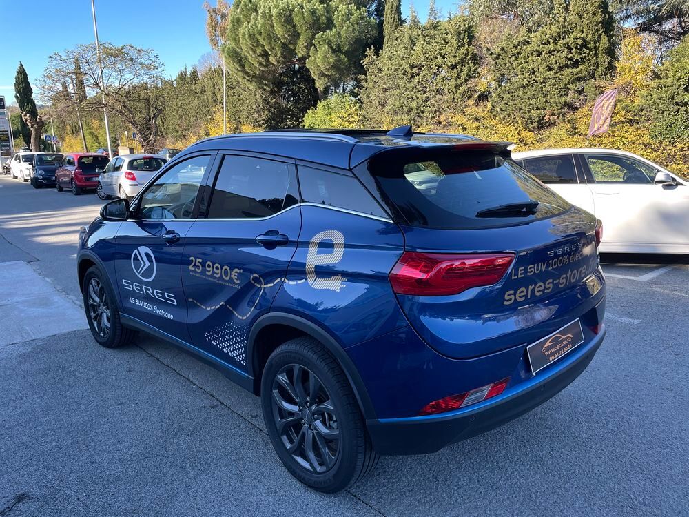 Model Y Seres 3 Luxury 163cv Electrique 2021 occasion 83580 Gassin