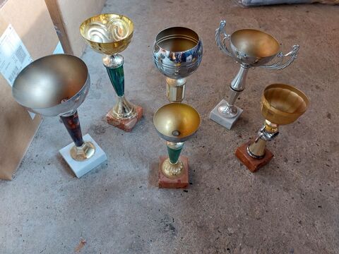 coupes 1 Beauquesne (80)