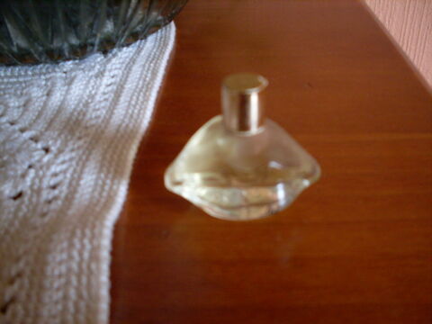 MINIATURE DE PARFUM 4 Le Relecq-Kerhuon (29)