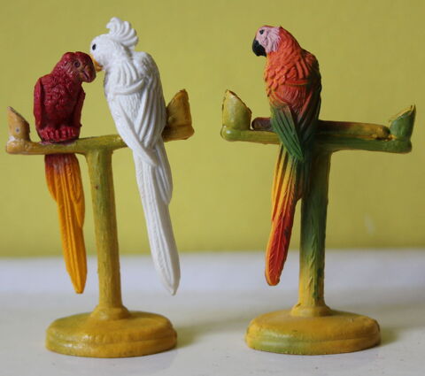 Ensemble de perroquets CLAIRET Zoo, cirque 30 Issy-les-Moulineaux (92)