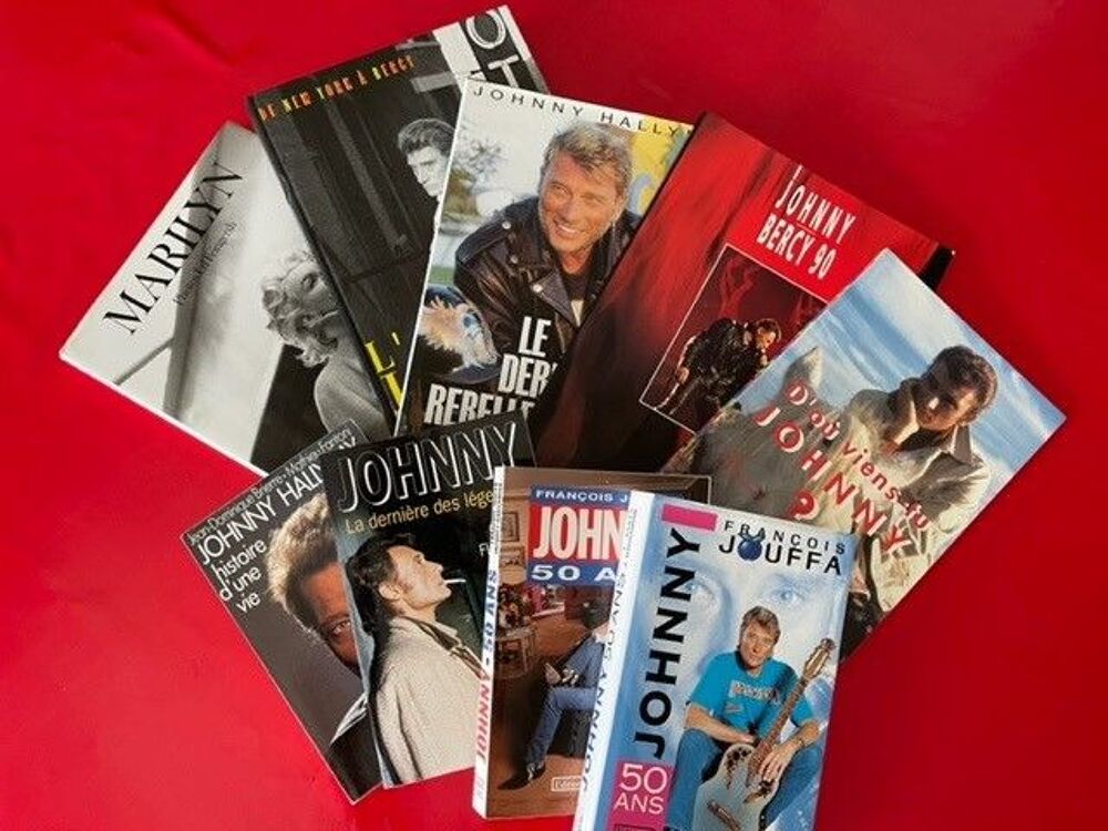 Lot de livres sur la vie de Johnny Hallyday Livres et BD
