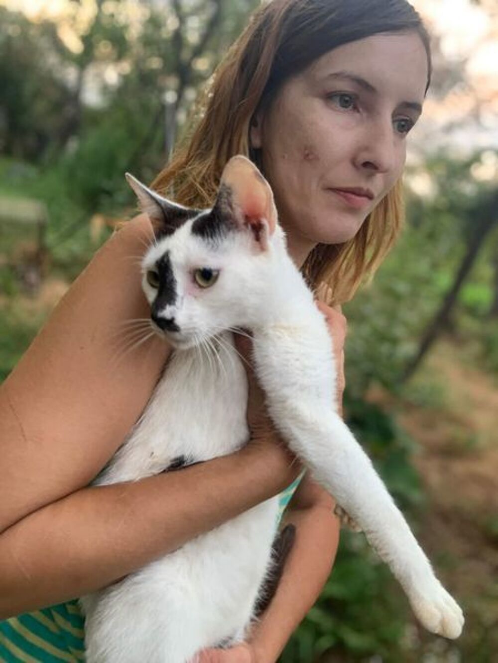   ALYA 