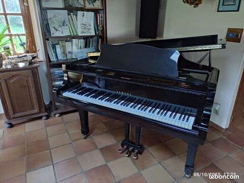 Piano � queue Yamaha C3 Coservatory Flourens (31)