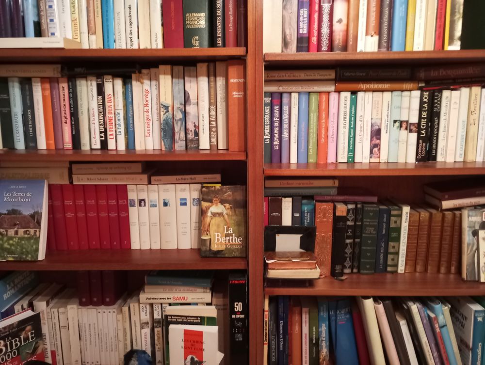 Biblioth&egrave;que. Meubles