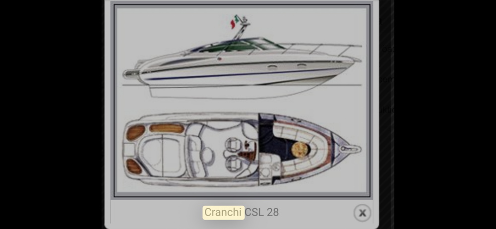 Vedette - Yacht - Offshore 2004 occasion 74140 Nernier