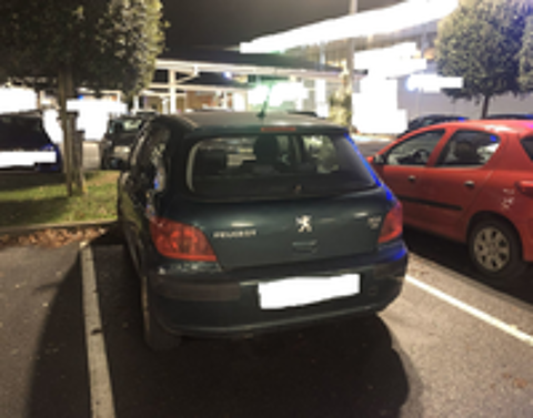 307 2.0 HDi - 90 XR Présence 2002 occasion 49120 Chemillé