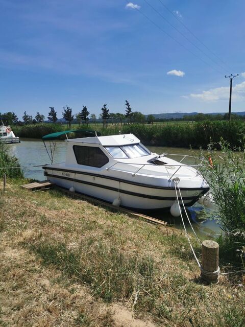 Bateaux à moteur Bateau fluvial 1988 occasion Ventenac-en-Minervois 11120