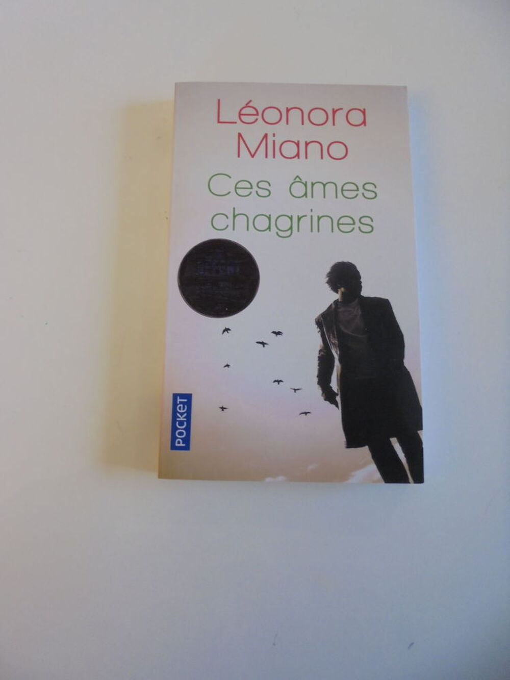 Ces &acirc;mes chagrines (108) Livres et BD