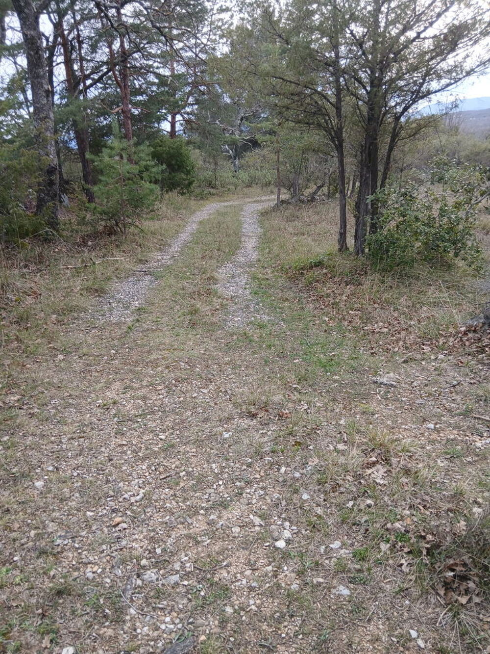 Vente Terrain Terrain non constructible 18 480 m² à Saint-Vallier-de-Thier Saint-vallier-de-thiey