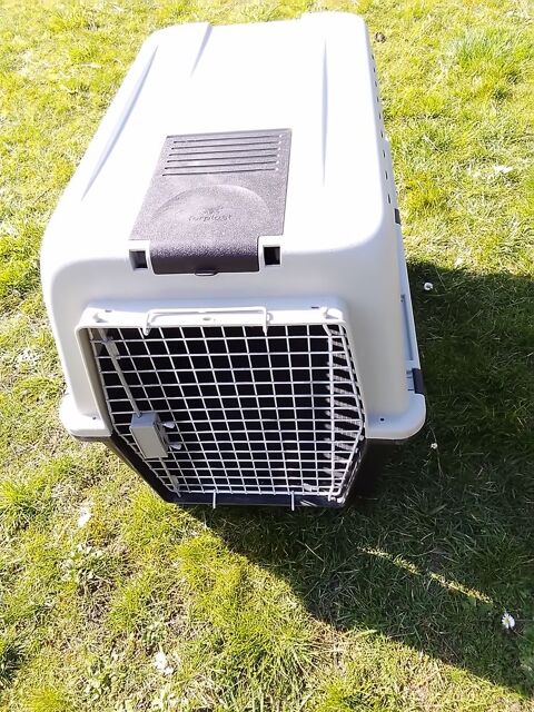 CAGE POUR CHIEN 65 59480 Illies