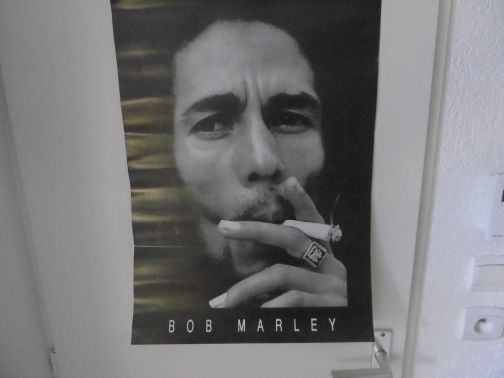 BEAU POSTER CARTONNEE DE BOB MARLEY 