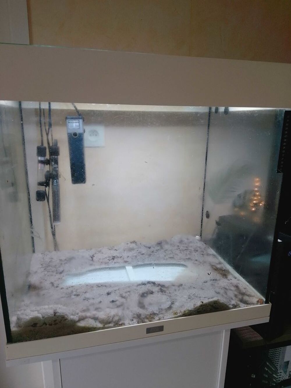 aquarium 100 l Décoration