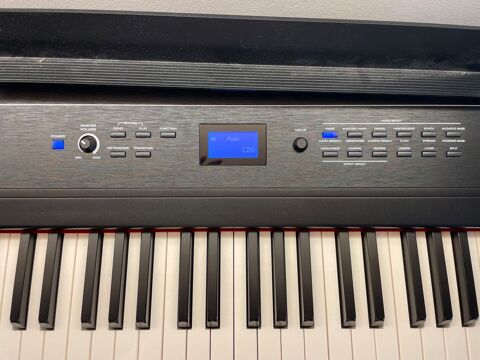 Piano Alesis Recital Pro 600 vry (91)