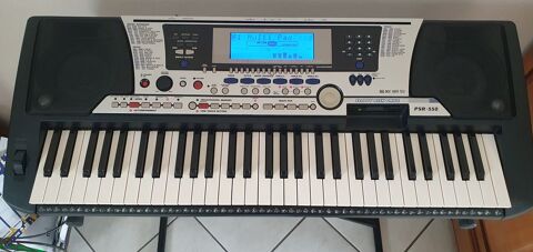 clavier lectronique 100 Saint-Coulomb (35)