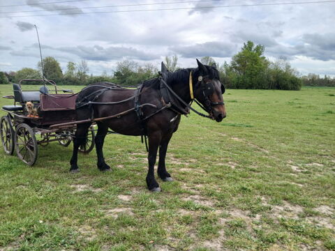 Je m'en capte prison 3900 41130 Selles-sur-cher
