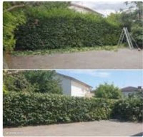   Jardinier entretient des espaces verts 