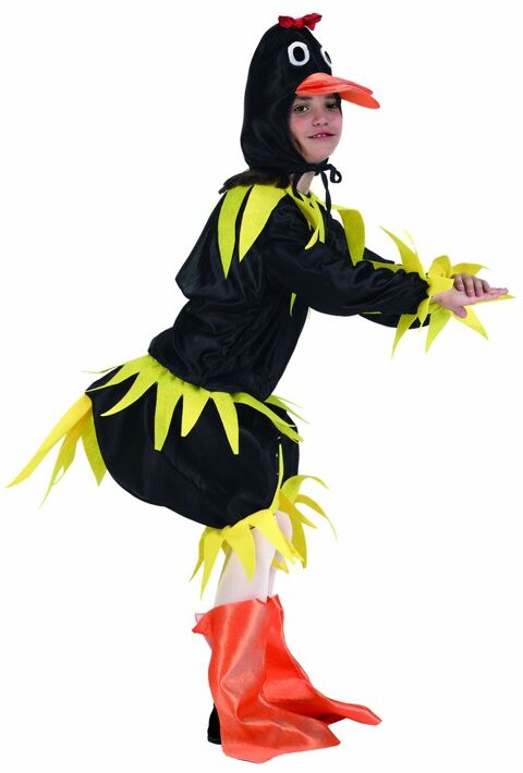 Deguisement costume Canard noir 10-12 ans 15 Fontenay-sous-Bois (94)