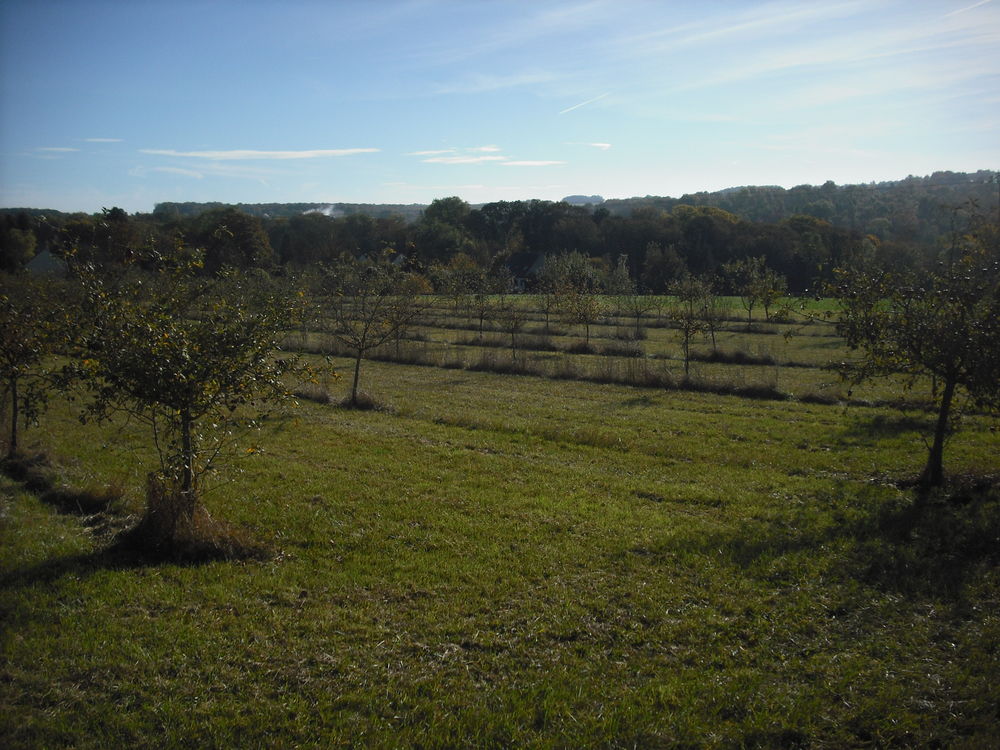 Location Terrain TERRAINS AGRICOLES en SEINE ET MARNE A  LOUER Crcy-la-chapelle