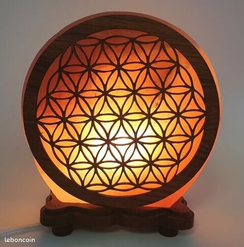 Lampe de Sel Fleur de Vie 5KG
45 Paris 9 (75)