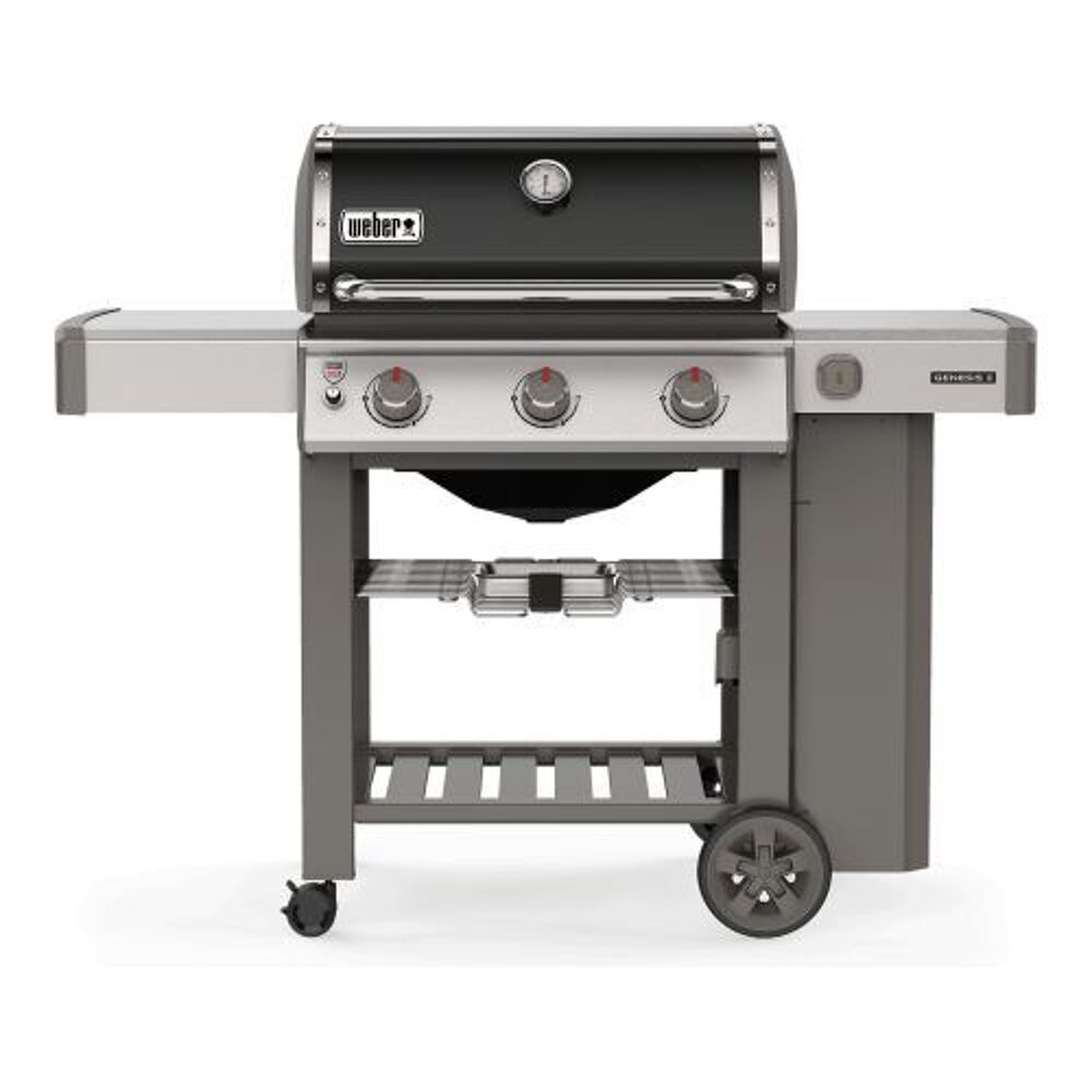 BBQ Weber Genesis II (E-310) Jardin