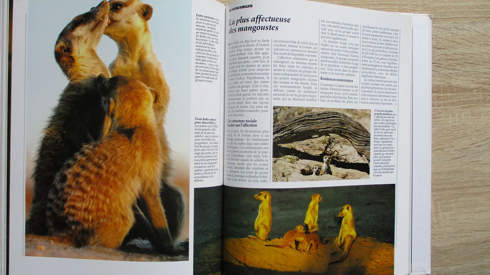 Livre "Vie Sauvage" Sous le soleil du D&eacute;sert. Livres et BD