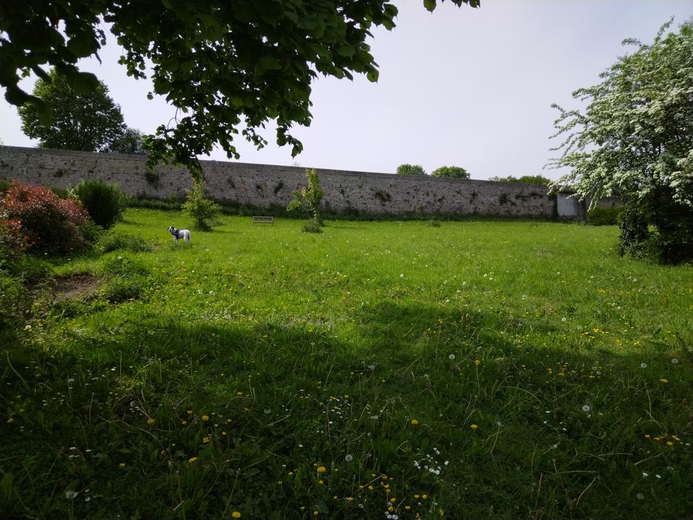 Vente Terrain Terrain Verger et potager au c?ur de Longny au Perche Longny-au-perche