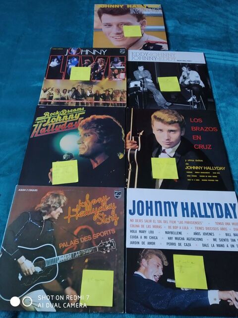 diffrents vinyles de johnny hallyday 10 Auby (59)