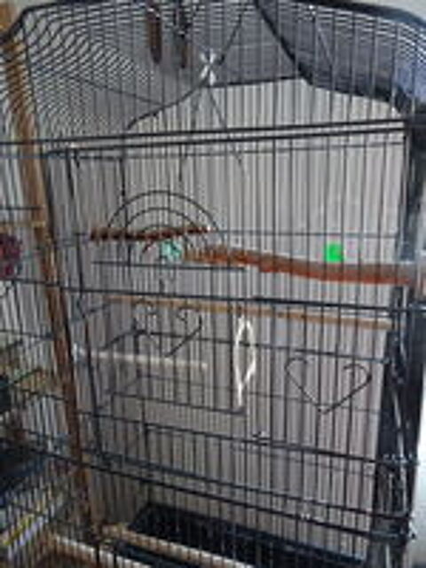   Cage à oiseaux 