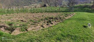  Propri�t�/ch�teau � vendre 3 pi�ces 155 m� Mojkovac