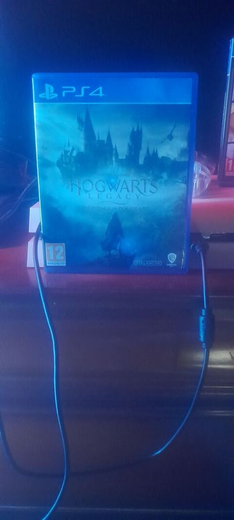jeux vid�o pour PS4 Hogwarts Legacy Tendron (18)