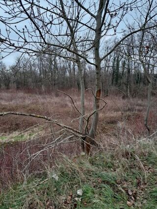  Terrain � vendre 1200 m�