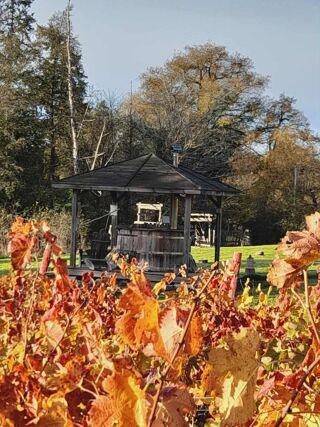 Location  Chambre d'h�te 