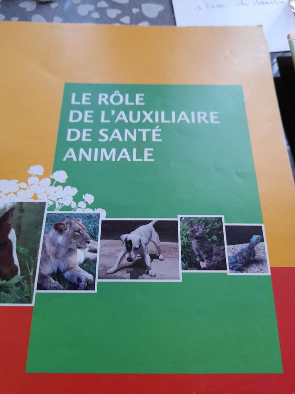 Ensemble de livres sur les animaux. Livres et BD