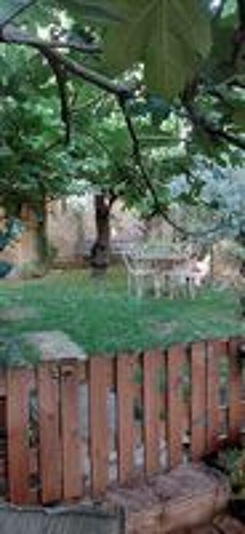  Recherche gracea Ibera femelle adulte 
