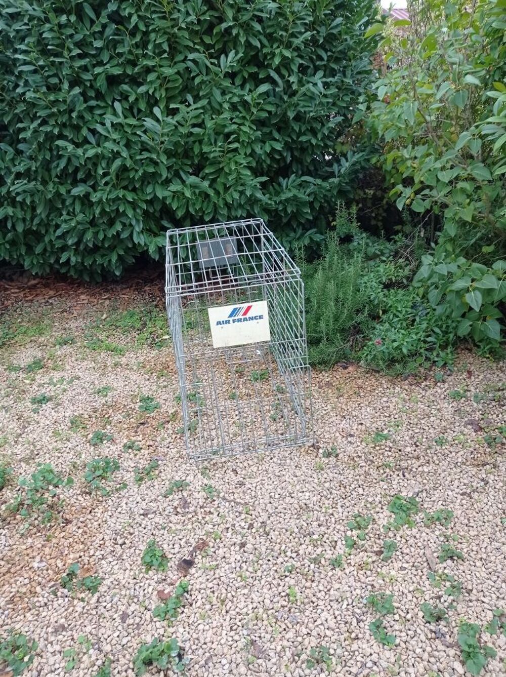 Caisse de transport pliable pour animal Jardin