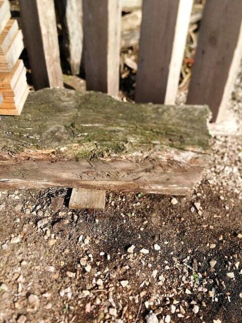 Ancienne Poutre en chne 30 Belmont-sur-Rance (12)