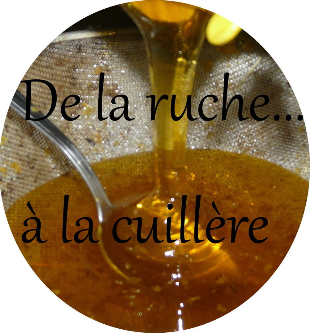 miel de fleurs Cuisine