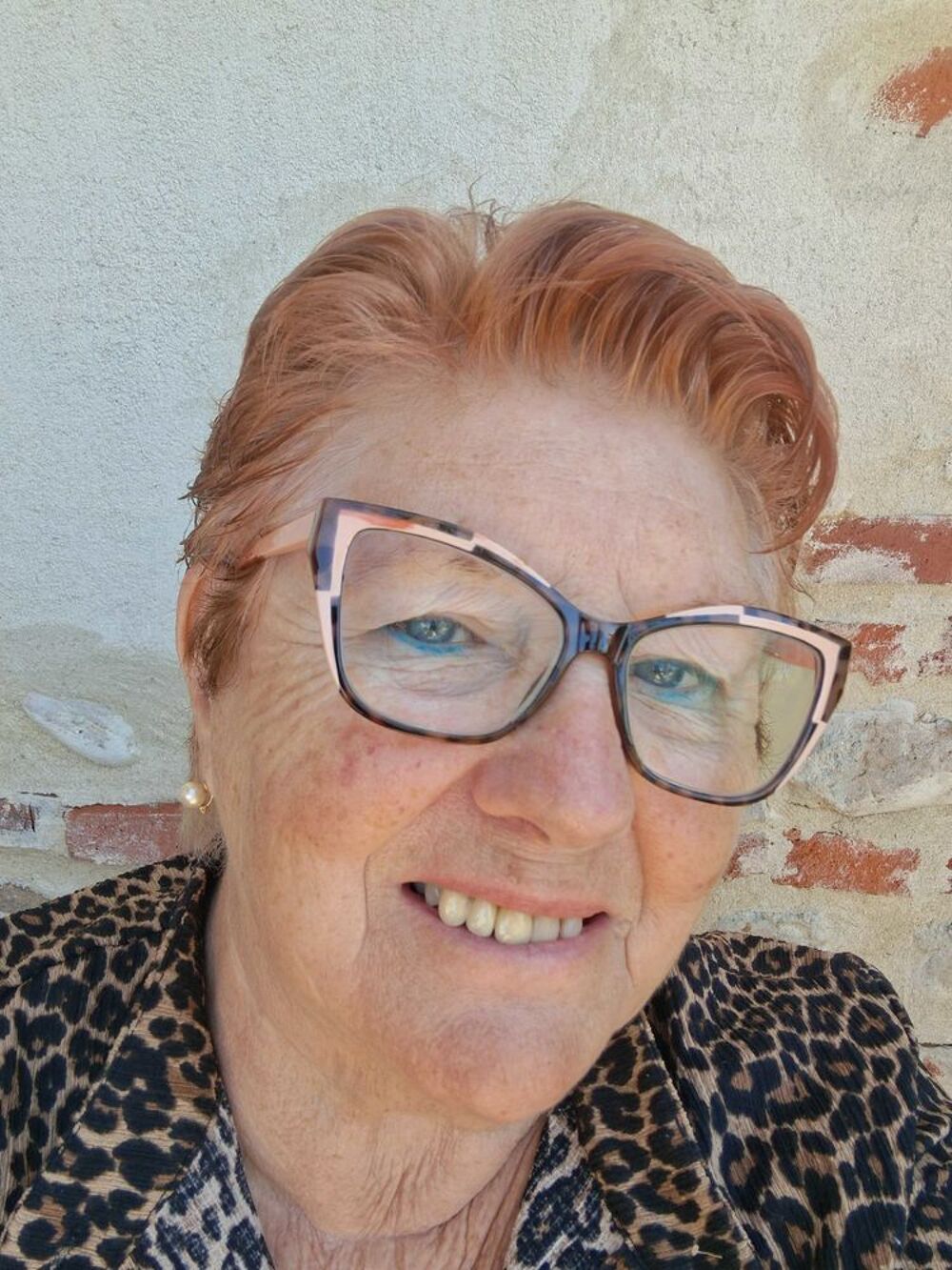 Location Maison dame retraitee cherche a l annee Roanne