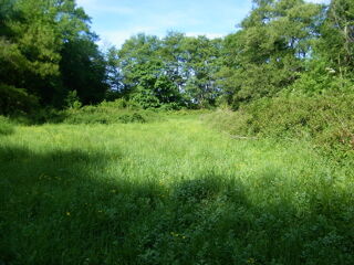  Terrain à louer 15000 m²